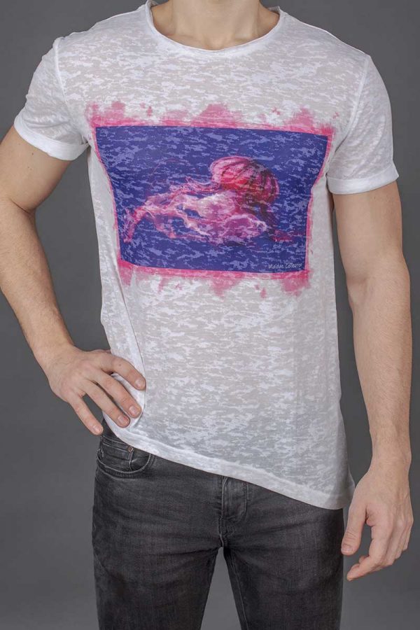 Medusa <br><h3>LIMITED EDITION </h3>