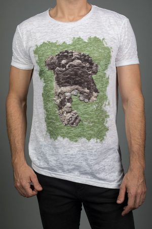 Talismán <br><h3>LIMITED EDITION </h3>